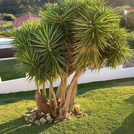 Villa Ericeira Βίλα